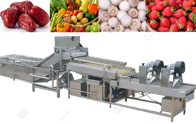 Línea de limpieza de verduras