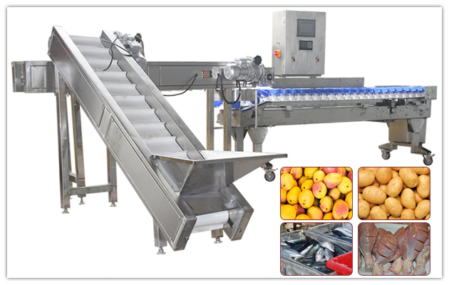 Máquina clasificadora automática de mangos por peso