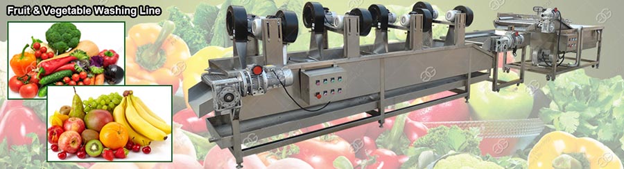 Lavadora de frutas y verduras