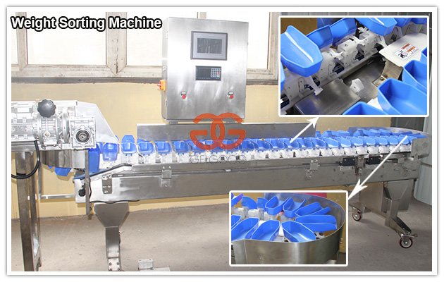 Máquina clasificadora de peso automática para frutas