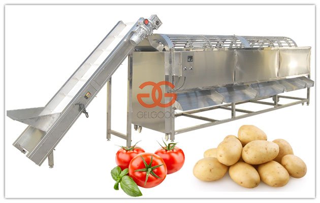 Clasificadora automática de patatas Mcahine