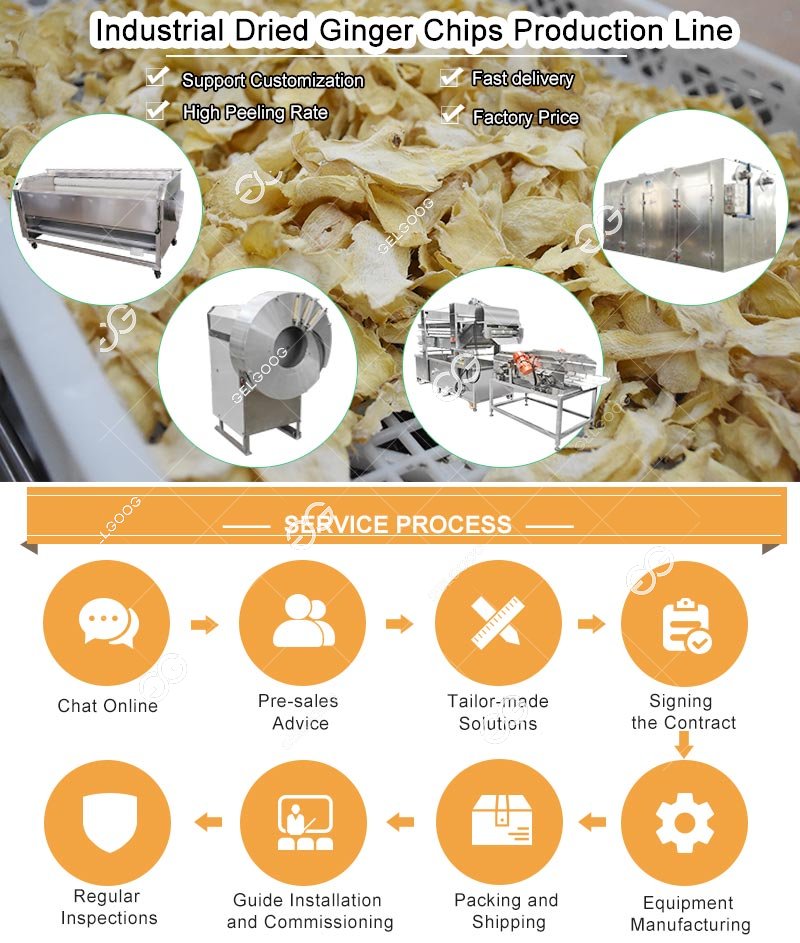 Máquina secadora para cortar chips de jengibre seco