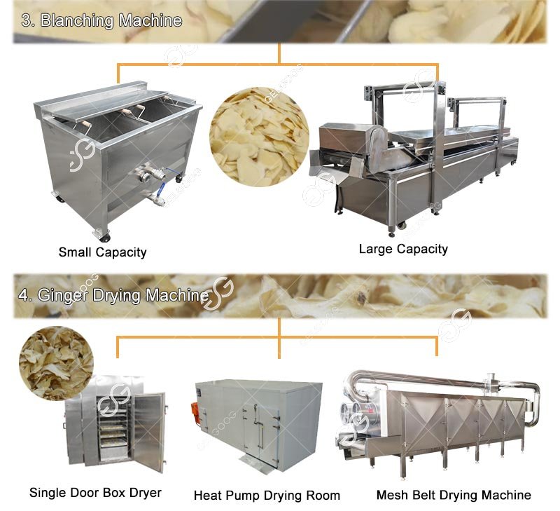 Máquina secadora de chips de jengibre