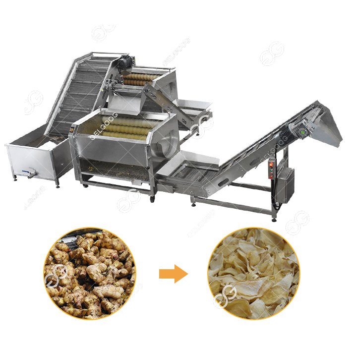 Máquina secadora para cortar jengibre